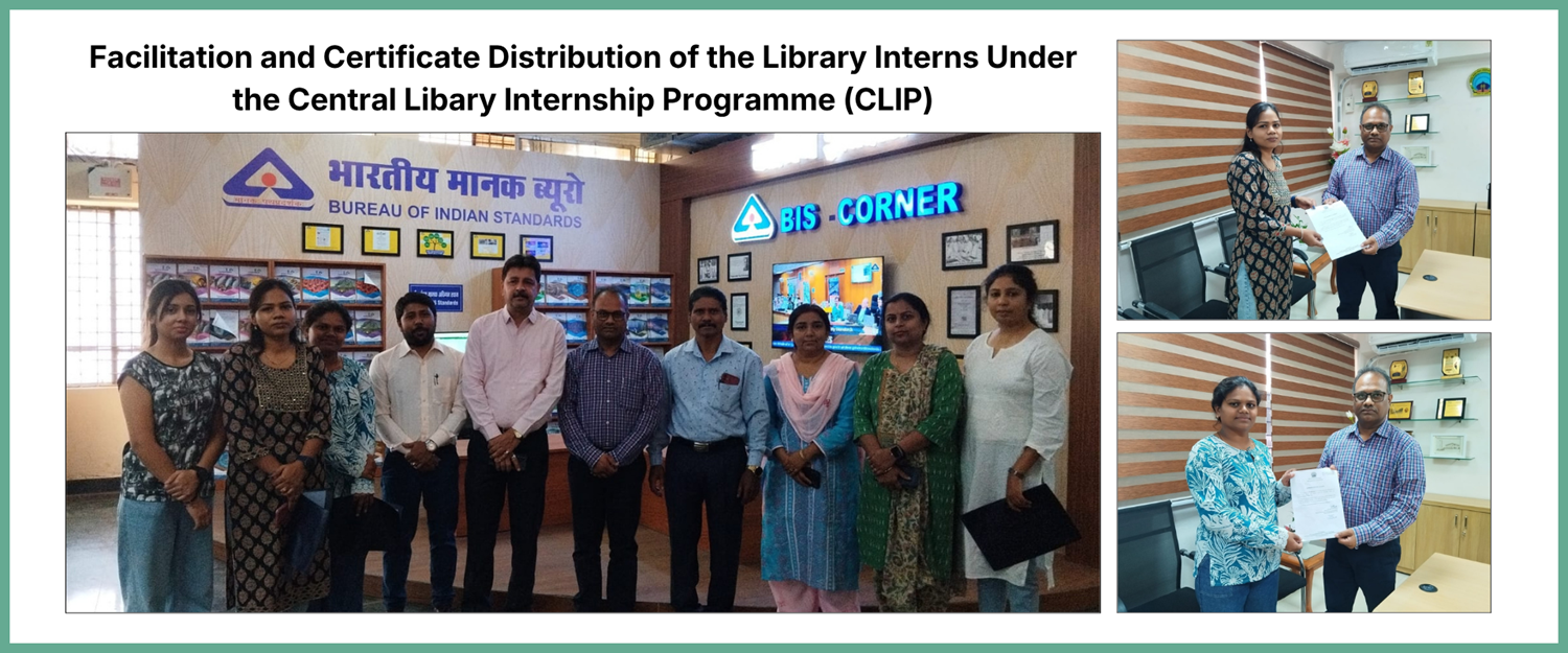 Internship Programme